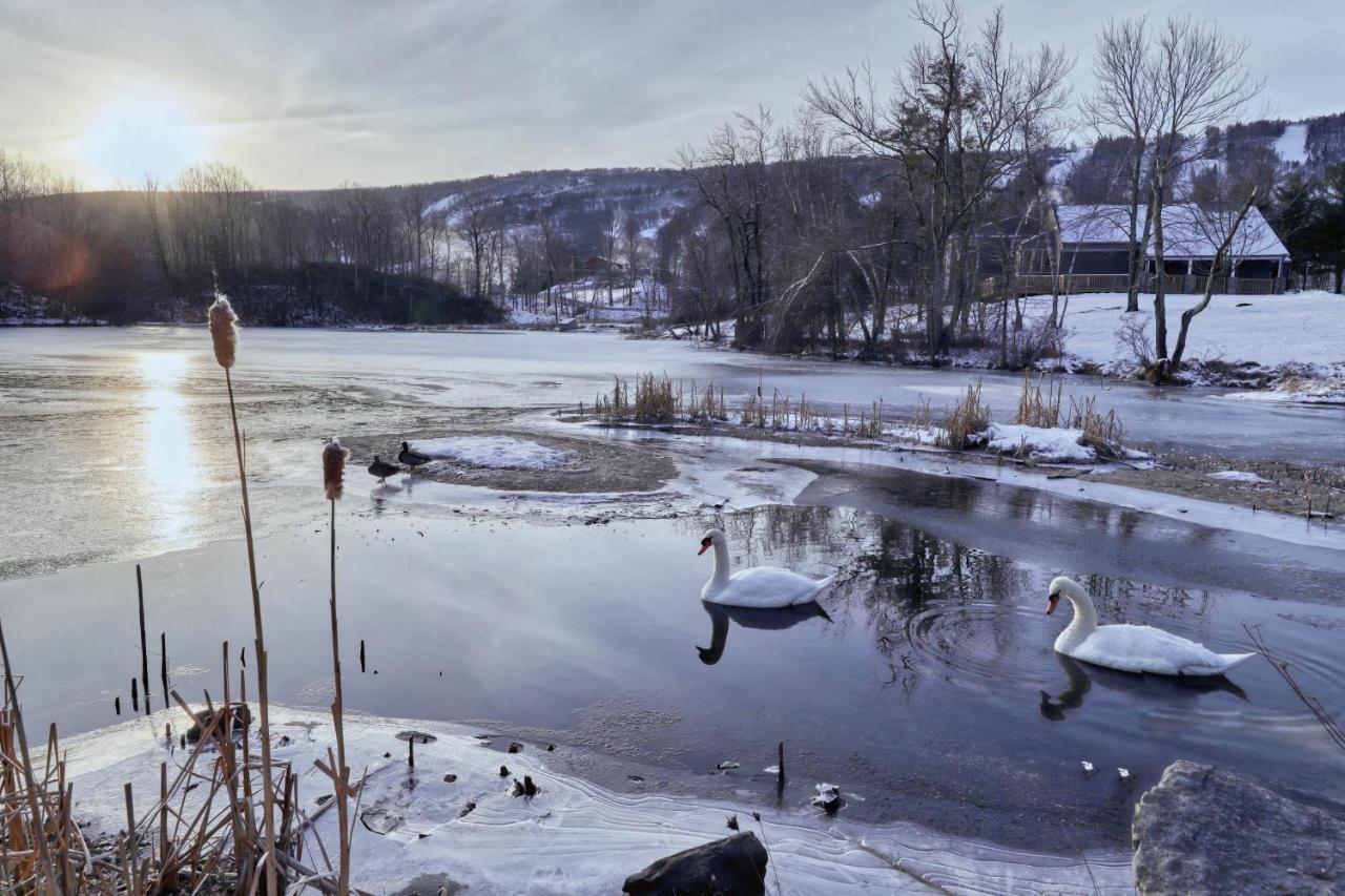 Northridge 410 Villa Tannersville Bagian luar foto